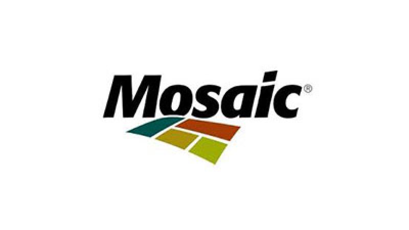 Mosaic